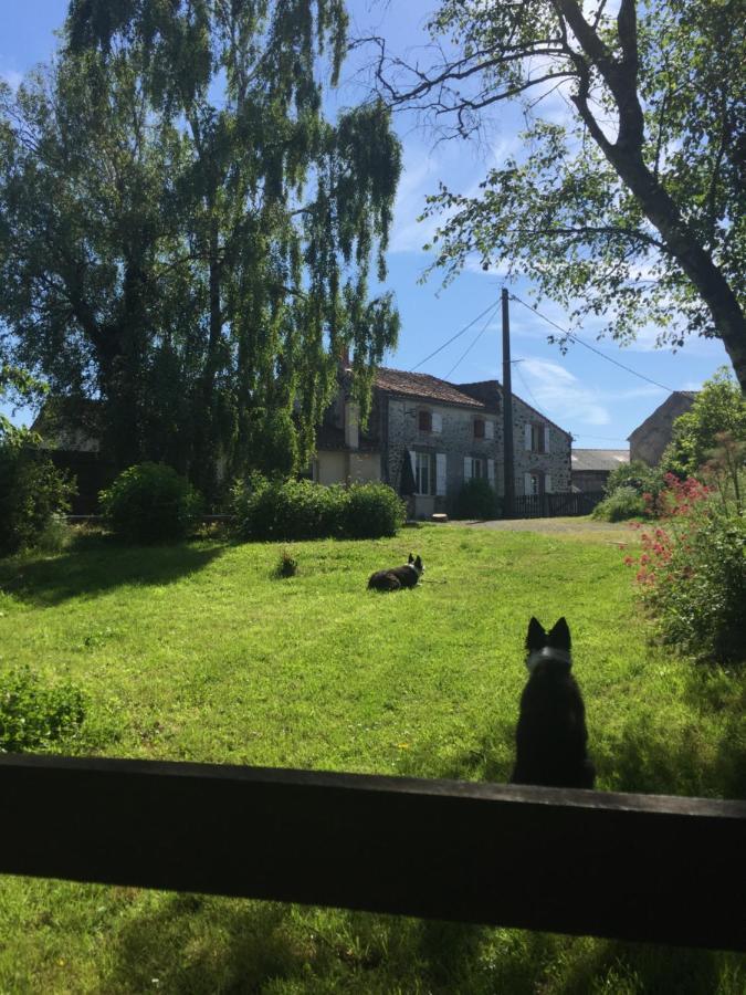 Le Gite Du Petit Renard: A Tranquil Gite With Pool Oradour-Saint-Genest Exteriör bild